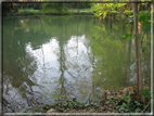 foto Parco Sebellin in Primavera